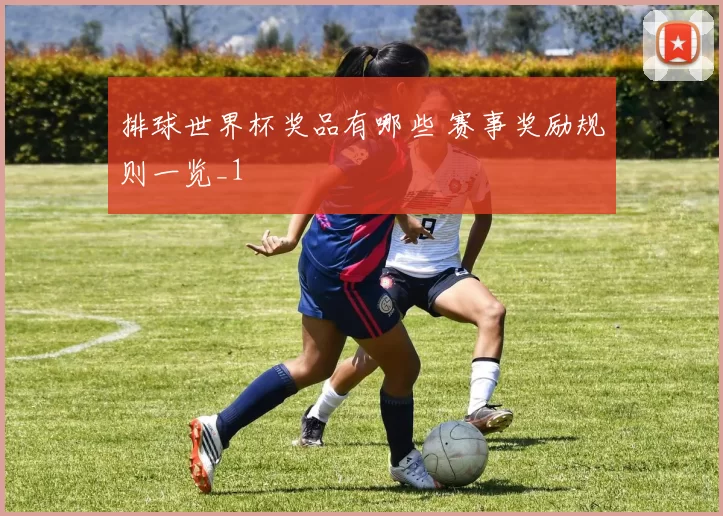 排球世界杯奖品有哪些 赛事奖励规则一览_1