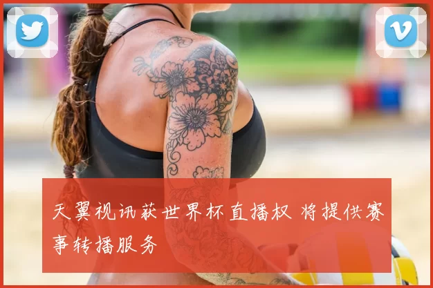 天翼视讯获世界杯直播权 将提供赛事转播服务