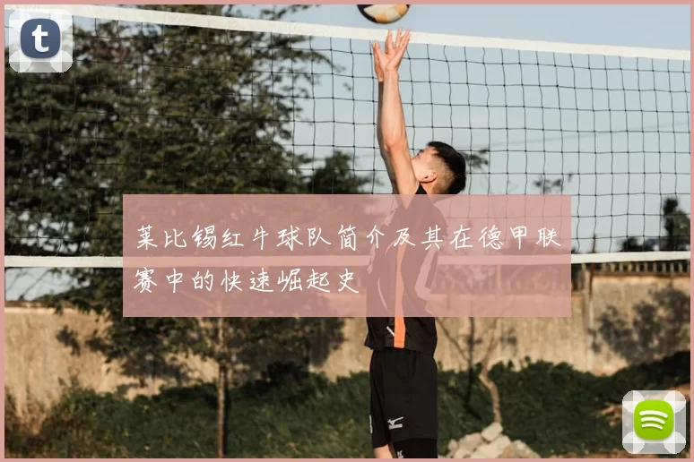 莱比锡红牛球队简介及其在德甲联赛中的快速崛起史