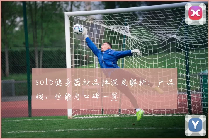 sole健身器材品牌深度解析：产品线、性能与口碑一览