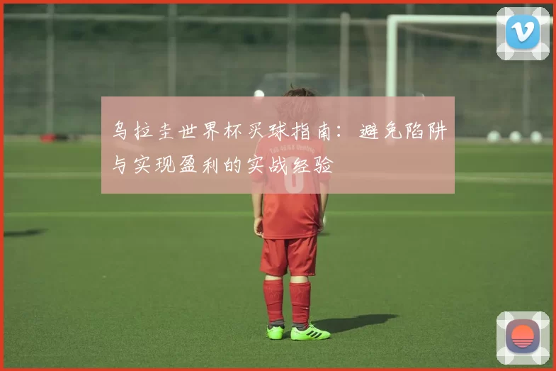乌拉圭世界杯买球指南：避免陷阱与实现盈利的实战经验