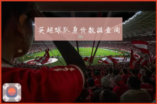 英超球队身价数据查询