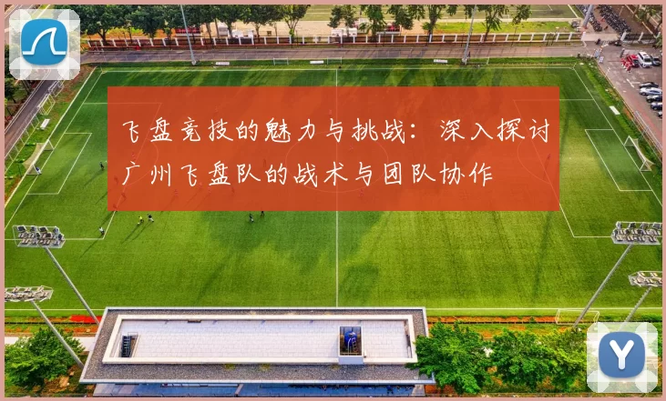 飞盘竞技的魅力与挑战:深入探讨广州飞盘队的战术与团队协作