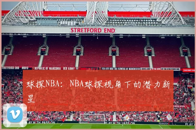 球探NBA：NBA球探视角下的潜力新星