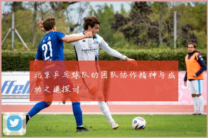北京乒乓球队的团队协作精神与成功之道探讨