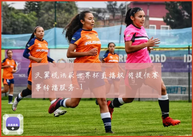 天翼视讯获世界杯直播权 将提供赛事转播服务_1