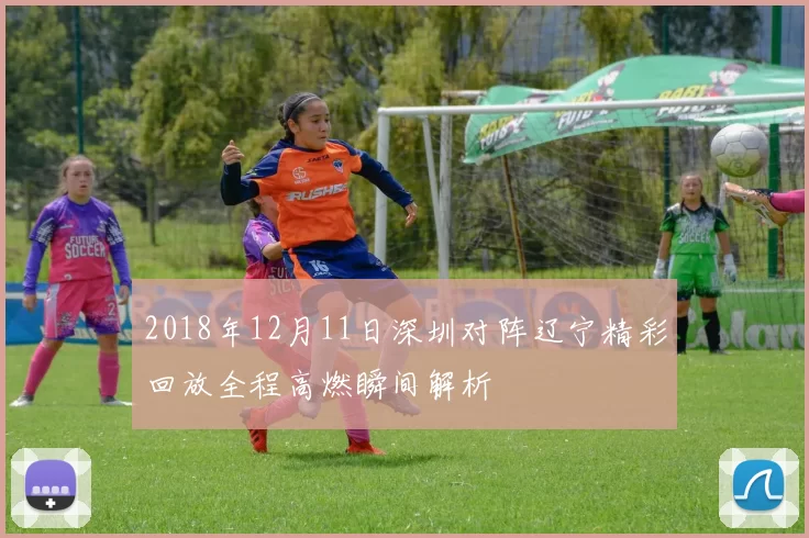 2018年12月11日深圳对阵辽宁精彩回放全程高燃瞬间解析