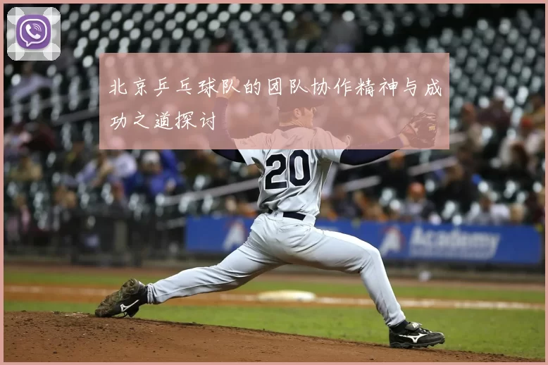 北京乒乓球队的团队协作精神与成功之道探讨