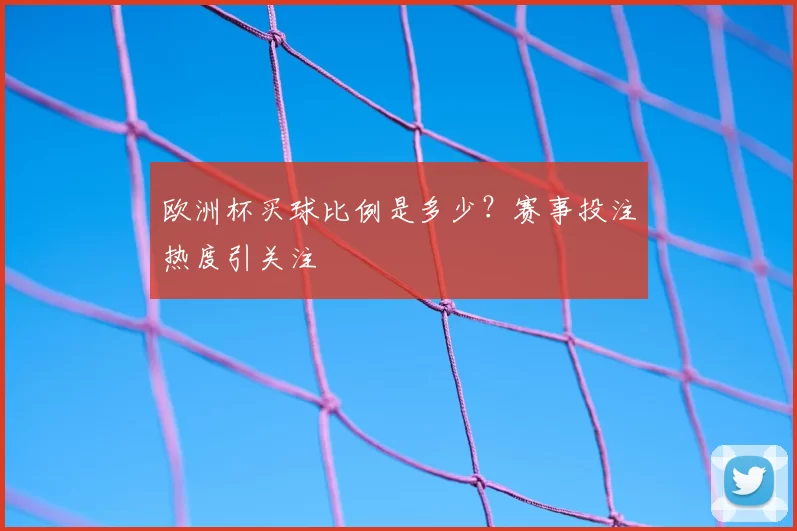 欧洲杯买球比例是多少？赛事投注热度引关注