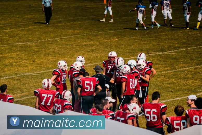 App Interface Preview